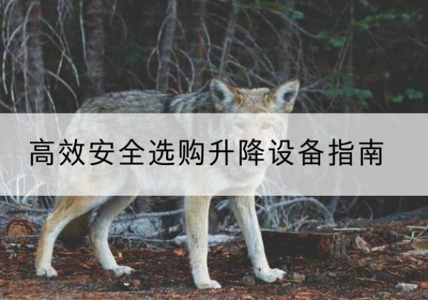 新密升降货梯厂家推荐-*安全选购升降设备指南