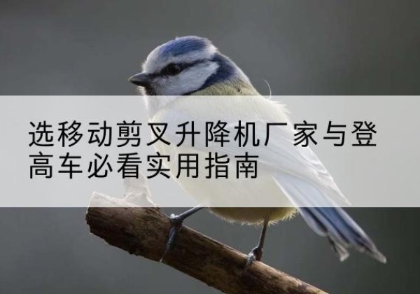 新密电动升降机厂家-选移动剪叉升降机厂家与登高车必看实用指南