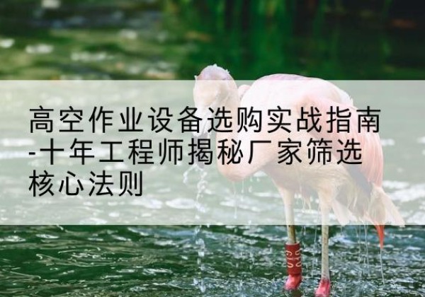 新密剪叉式升降机厂家-高空作业设备选购实战指南-十年工程师揭秘厂家筛选核心法则